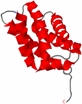 Image NMR Structure - model 1