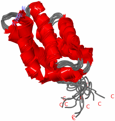 Image NMR Structure - all models