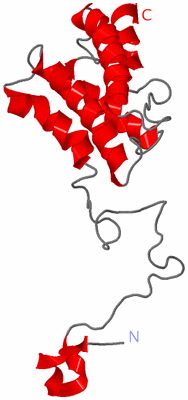 Image NMR Structure - model 1