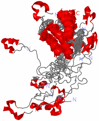 Image NMR Structure - all models