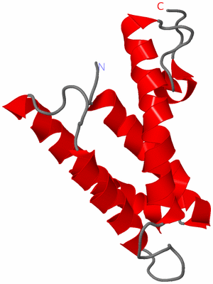 Image NMR Structure - model 1