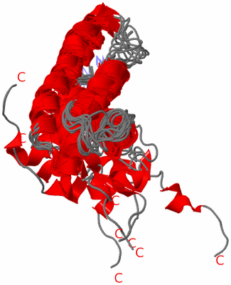 Image NMR Structure - all models