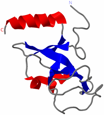 Image NMR Structure - model 1