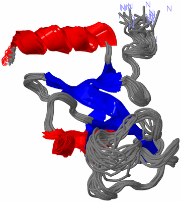 Image NMR Structure - all models