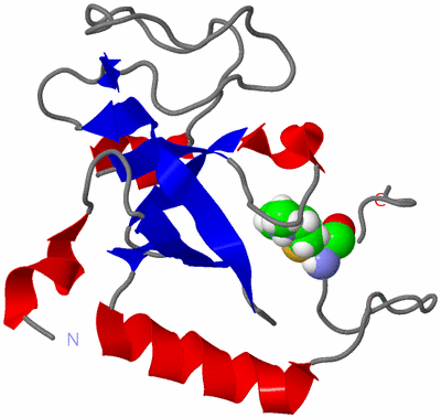 Image NMR Structure - model 1