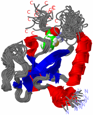 Image NMR Structure - all models