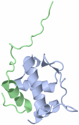 Image NMR Structure - model 1