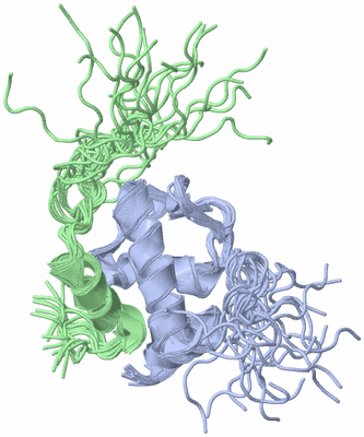 Image NMR Structure - all models