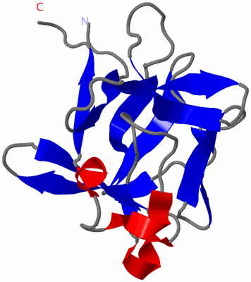 Image NMR Structure - model 1