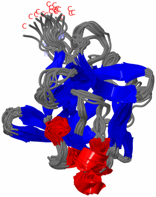 Image NMR Structure - all models