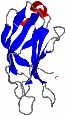 Image NMR Structure - model 1