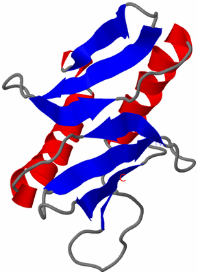 Image NMR Structure - model 1