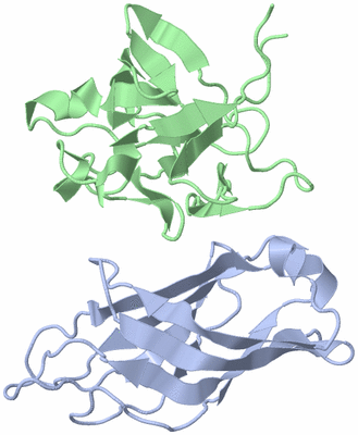 Image NMR Structure - model 1