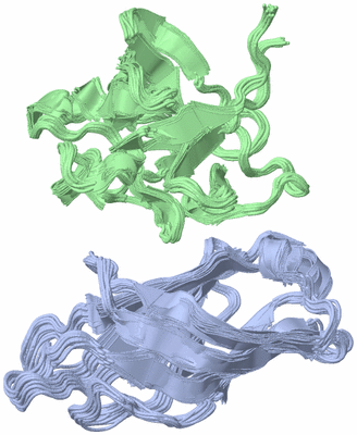 Image NMR Structure - all models
