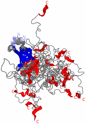 Image NMR Structure - all models