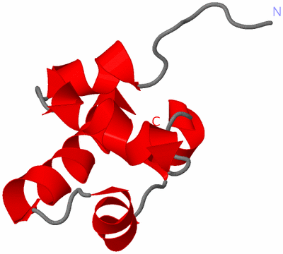 Image NMR Structure - model 1