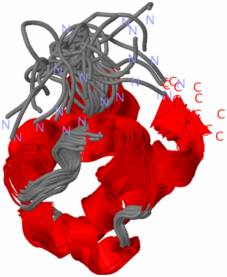 Image NMR Structure - all models