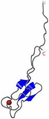 Image NMR Structure - model 1