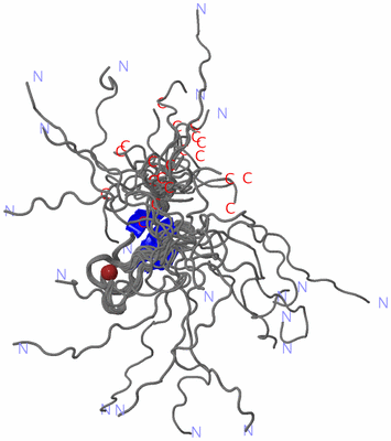 Image NMR Structure - all models
