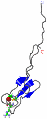 Image NMR Structure - model 1, sites