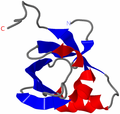 Image NMR Structure - model 1