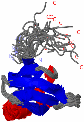 Image NMR Structure - all models