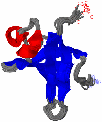 Image NMR Structure - all models