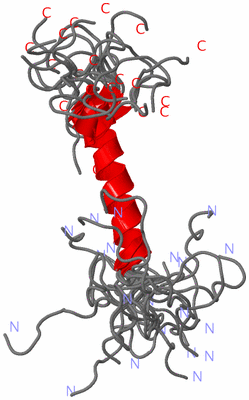 Image NMR Structure - all models