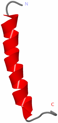 Image NMR Structure - model 1