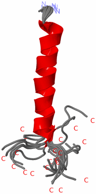 Image NMR Structure - all models