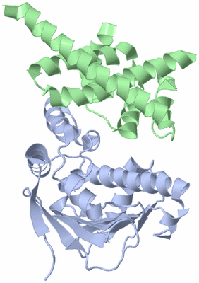 Image NMR Structure - model 1