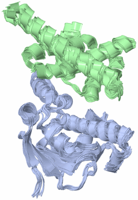 Image NMR Structure - all models