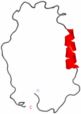 Image NMR Structure - model 1