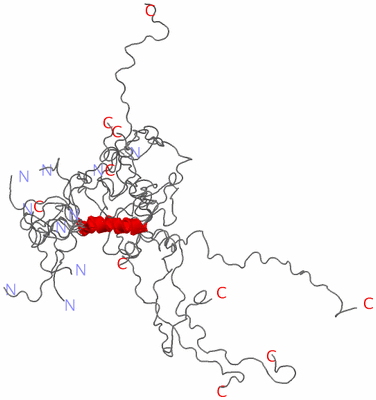 Image NMR Structure - all models