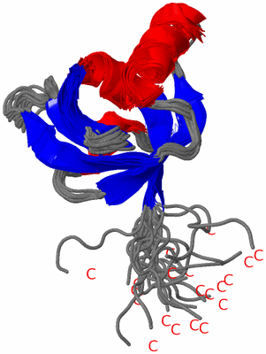 Image NMR Structure - all models