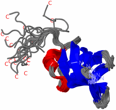 Image NMR Structure - all models