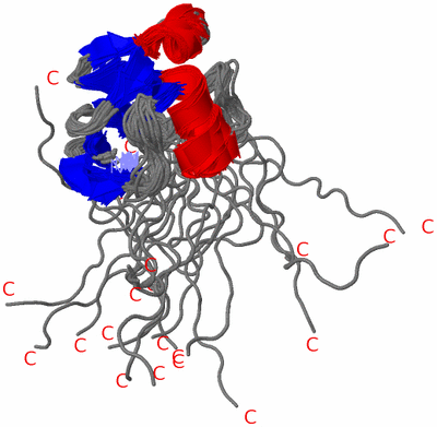 Image NMR Structure - all models