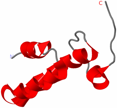 Image NMR Structure - model 1