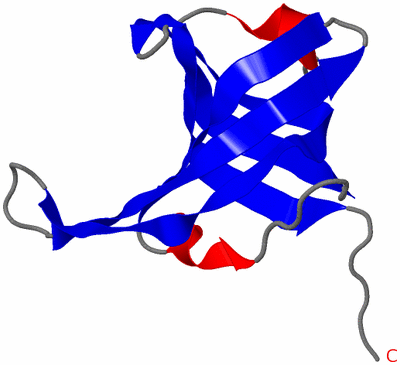 Image NMR Structure - model 1