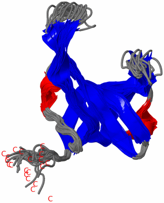 Image NMR Structure - all models