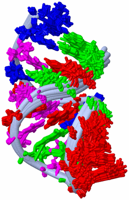 Image NMR Structure - all models