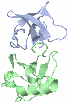 Image NMR Structure - model 1