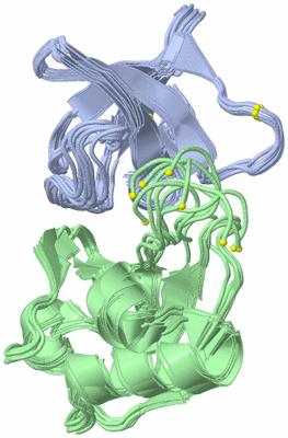 Image NMR Structure - all models