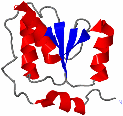 Image NMR Structure - model 1