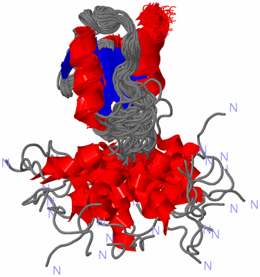 Image NMR Structure - all models