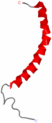Image NMR Structure - model 1
