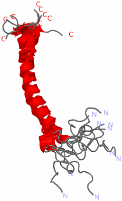 Image NMR Structure - all models