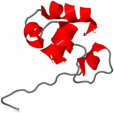 Image NMR Structure - model 1