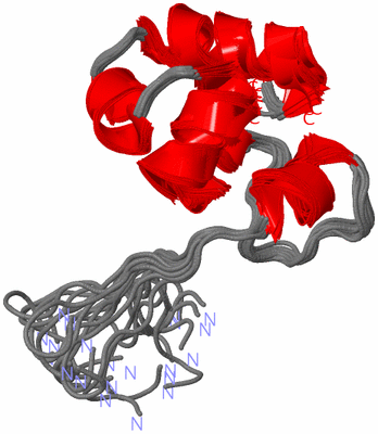 Image NMR Structure - all models