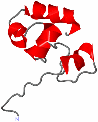 Image NMR Structure - model 1